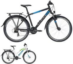 Bulls Pulsar Street 2021