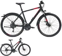 Bulls Street Flyer 2021