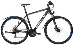 Bulls Wildcross Street-2017