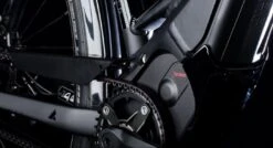 Bulls Lacuba-Evo Lite 5-Gang 2019 17 Bulls Lacuba-Evo Lite 5-Gang 2019 -Fahrradladen Motor