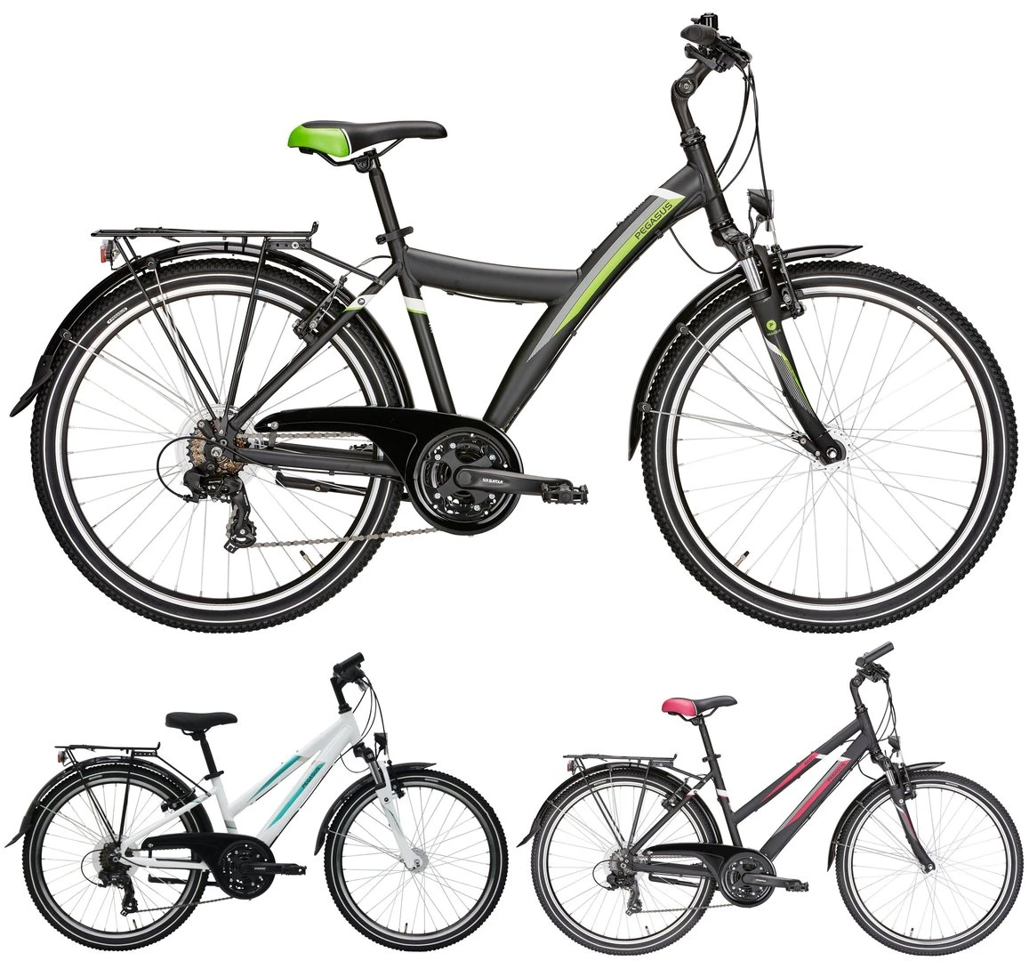 Pegasus Avanti 2019 21-Gang 3 Pegasus Avanti 2019 21-Gang