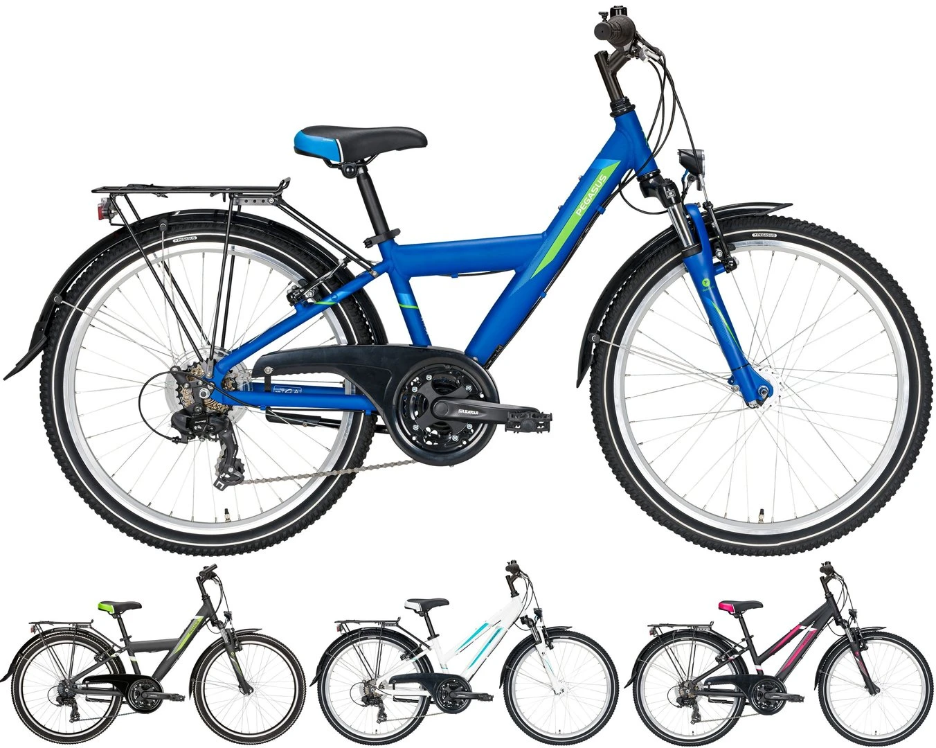 Pegasus Avanti 2021 18-Gang 3 Pegasus Avanti 2021 18-Gang