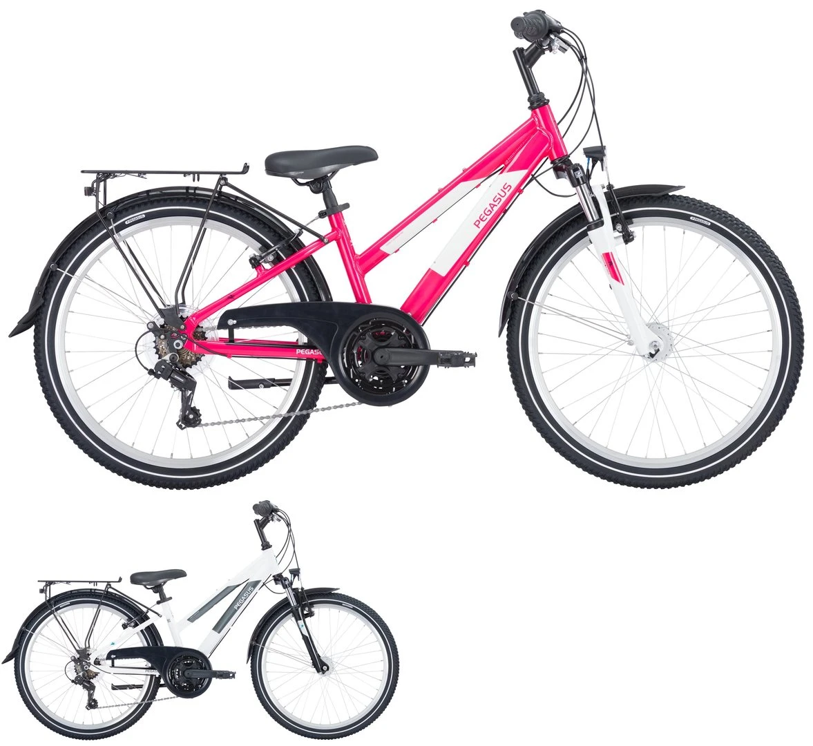 Pegasus Avanti 2023 18-Gang 3 Pegasus Avanti 2023 18-Gang