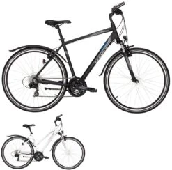 Pegasus Avanti-Sport 2017 21-Gang