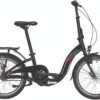 Pegasus Easystep 7 Alu Faltrad 7-Gang Nabenschaltung 20 Zoll Schwarz-rot