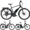 Pegasus Lavida-Plus 30-Gang 2019 1 Pegasus Lavida-Plus 30-Gang 2019 -Fahrradladen Pegasus Lavida Plus 2019 Alber 792 10048 10053 10058 10245 10250 10447 10451
