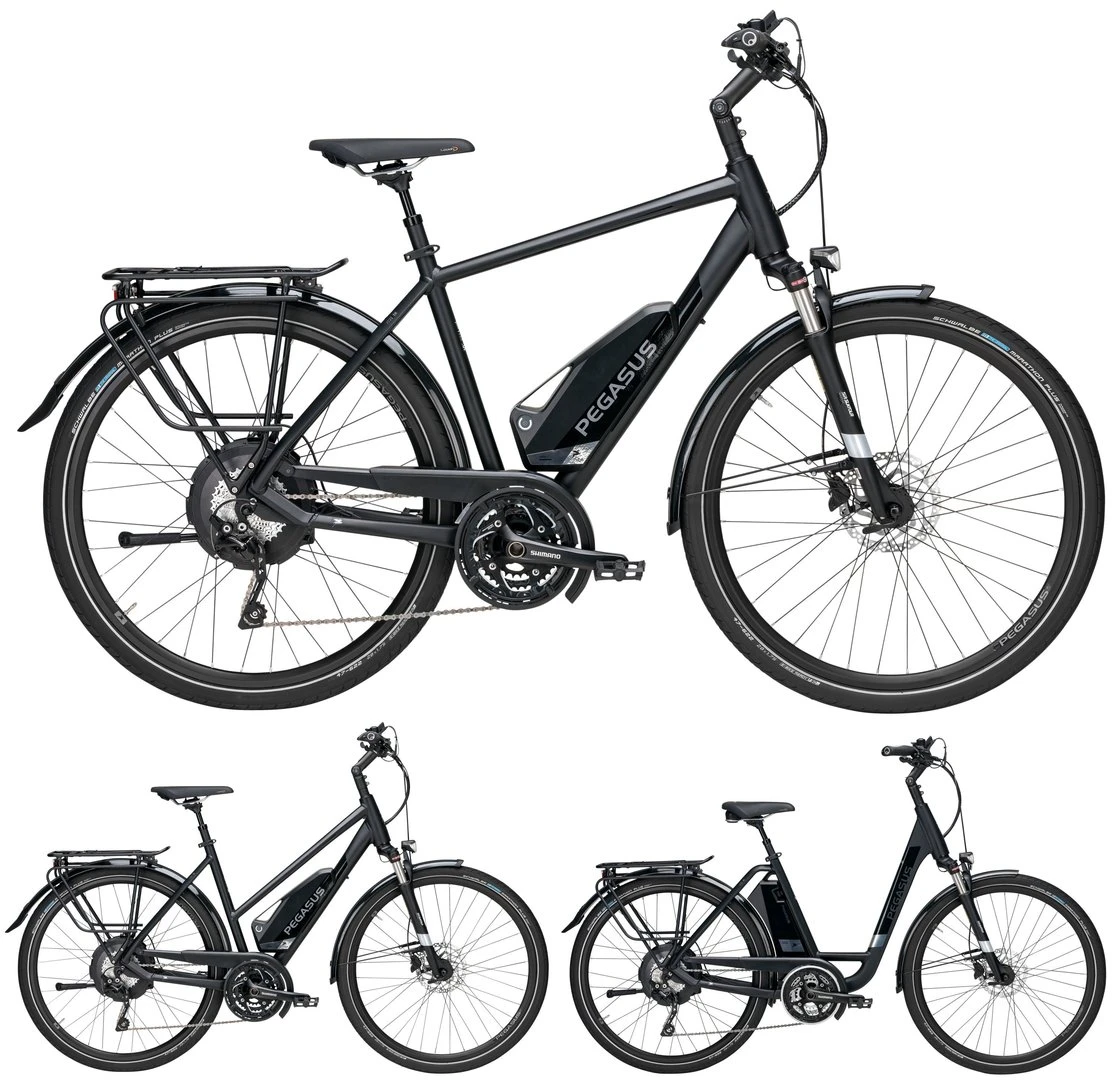 Pegasus Lavida-Plus 30-Gang 2019 3 Pegasus Lavida-Plus 30-Gang 2019