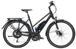 Pegasus Lavida-Plus 30-Gang 2019 8 Pegasus Lavida-Plus 30-Gang 2019 -Fahrradladen Pegasus Lavida Plus 2019 Alber Damen Trapez schwarz matt chrom 792 10245 10250 10253