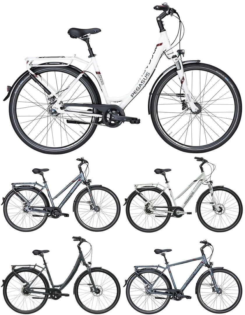 Pegasus Opero SL 2017 8-Gang 3 Pegasus Opero SL 2017 8-Gang