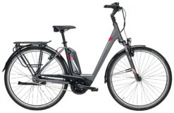 Pegasus Premio-E8F Comfort 8-Gang 2019 9 Pegasus Premio-E8F Comfort 8-Gang 2019 -Fahrradladen Pegasus Premio E8F Comfort 2019 Damen Wave grau rot silber 794 795 15445 15450 15455