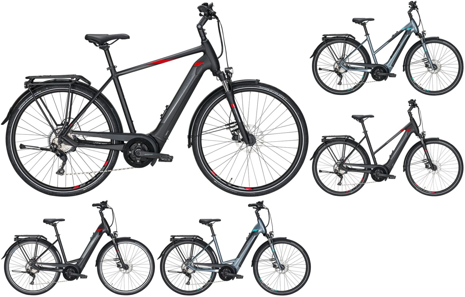 Pegasus Premio-Evo-10 2020