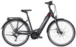 Pegasus Premio-Evo-10 2021 -Fahrradladen Pegasus Premio Evo 10 2021 Tiefeinstieg Unisex Damen Wave black matt schwarz red rot 734 735 736 36145 36150 36155