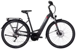 Pegasus Premio-Evo-10 2022 -Fahrradladen Pegasus Premio Evo 10 2022 Tiefeinstieg Unisex Damen Wave black matt schwarz red rot 644 645 646 25845 25850 25855