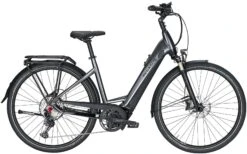 Pegasus Premio-Evo-12 Lite 2020 -Fahrradladen Pegasus Premio Evo 12 Lite Damen Wave black chrome black matt 714 715 716 59245 59250 59255
