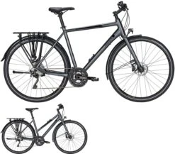 Pegasus Premio Ultralite Disc 2020/2021 30-Gang