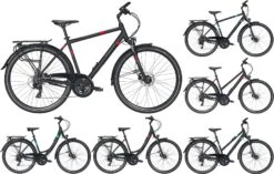 Pegasus Solero-Disc 2020/2021 24-Gang