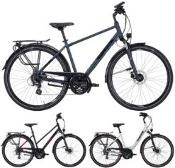 Pegasus Solero-Disc 2022 24-Gang