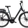 Pegasus Strong E-8R 2019 -Fahrradladen Pegasus Strong E8 2019 Damen Wave schwarz matt grau blau 794 795 26845 26850 26855 26860