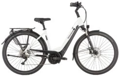 Pegasus Strong Evo-10 2021 9 Pegasus Strong Evo-10 2021 -Fahrradladen Pegasus Strong Evo 10 2021 Tiefeinstieg Unisex Damen Wave offwhite black matt weiss schwarz 734 735 736 61345 61350 61355 61360