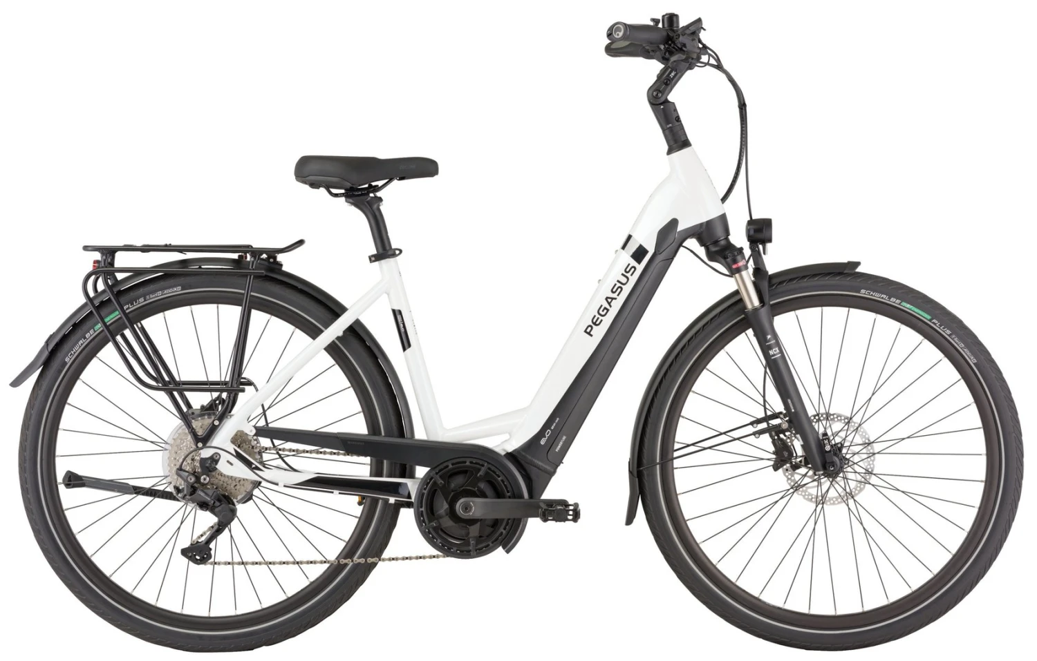 Pegasus Strong Evo-10 2021 6 Pegasus Strong Evo-10 2021 – Bild 4