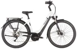 Pegasus Strong-Evo-10 2022 9 Pegasus Strong-Evo-10 2022 -Fahrradladen Pegasus Strong Evo 10 2022 Tiefeinstieg Unisex Damen Wave metallic off white black matt weiss schwarz 644 645 646 55845 55850 55855 55860