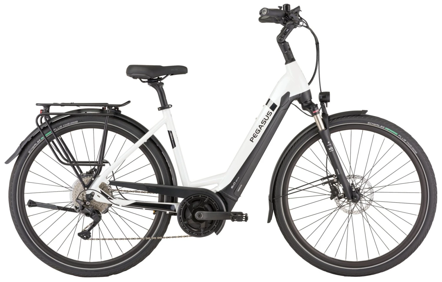 Pegasus Strong-Evo-10 2022 6 Pegasus Strong-Evo-10 2022 – Bild 4