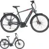 Pegasus Strong Evo-9 2020 -Fahrradladen Pegasus Strong Evo 9 2020 180kg Bosch Performance Line 400Wh 500Wh 625Wh