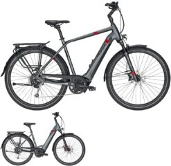 Pegasus Strong Evo-9 2020