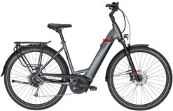 Pegasus Strong Evo-9 2020 7 Pegasus Strong Evo-9 2020 -Fahrradladen Pegasus Strong Evo 9 2020 Damen Wave grau matt schwarz rot 714 715 716 68445 68450 68455 68460