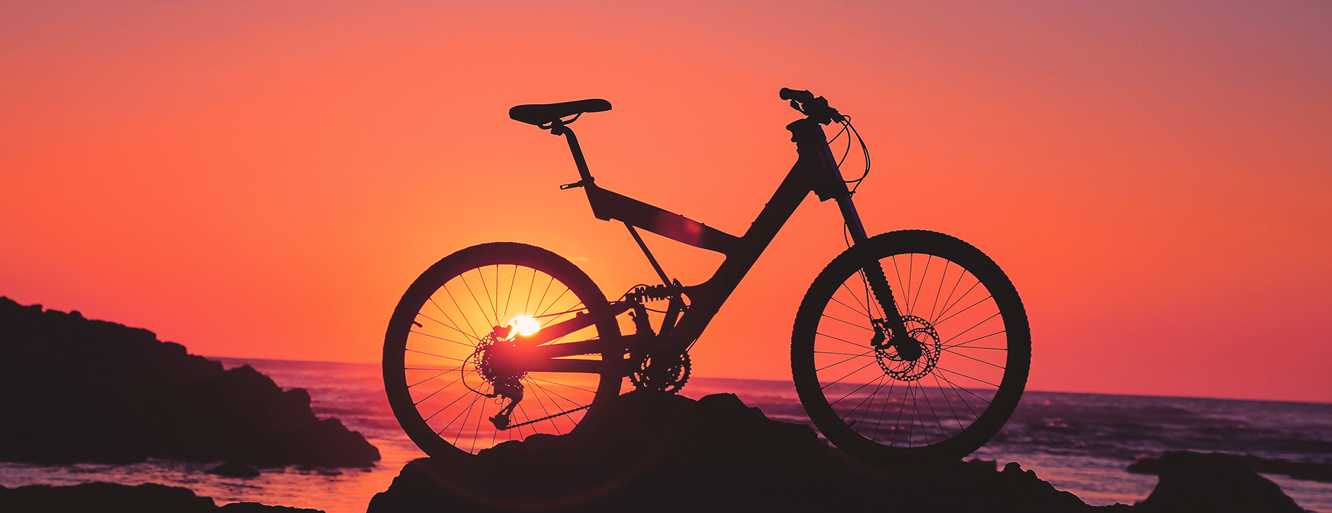 Titelseite 17 Titelseite -Fahrradladen photo 1528460452708 058136e06fdd